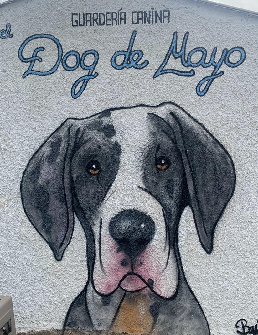 El Dog de Mayo - Guardería Canina